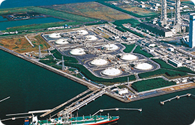Petroleum, LPG, and Wood Pellets for Power Generation Operations